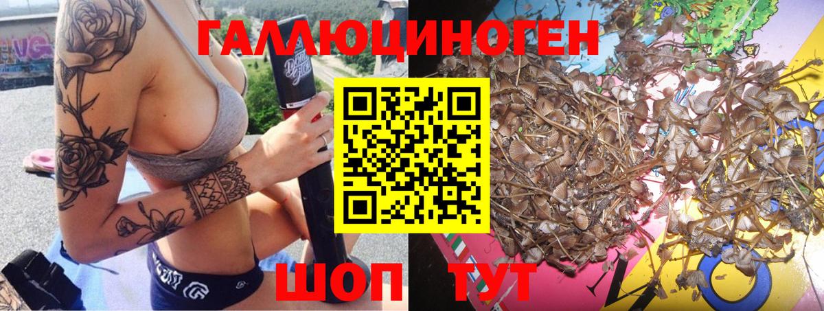 Псилоцибиновые грибы мухоморы Воронеж