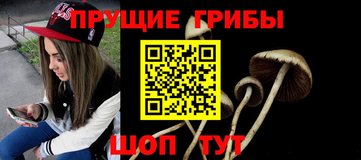 что такое наркотик  Воронеж  Галлюциногенные грибы мицелий 