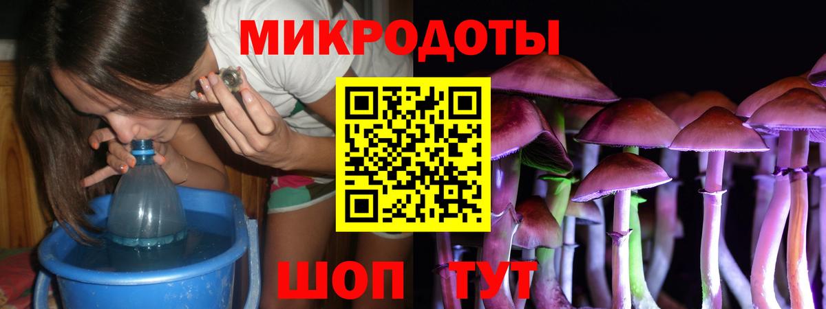 Галлюциногенные грибы Psilocybe  Вход с VPN  Воронеж 