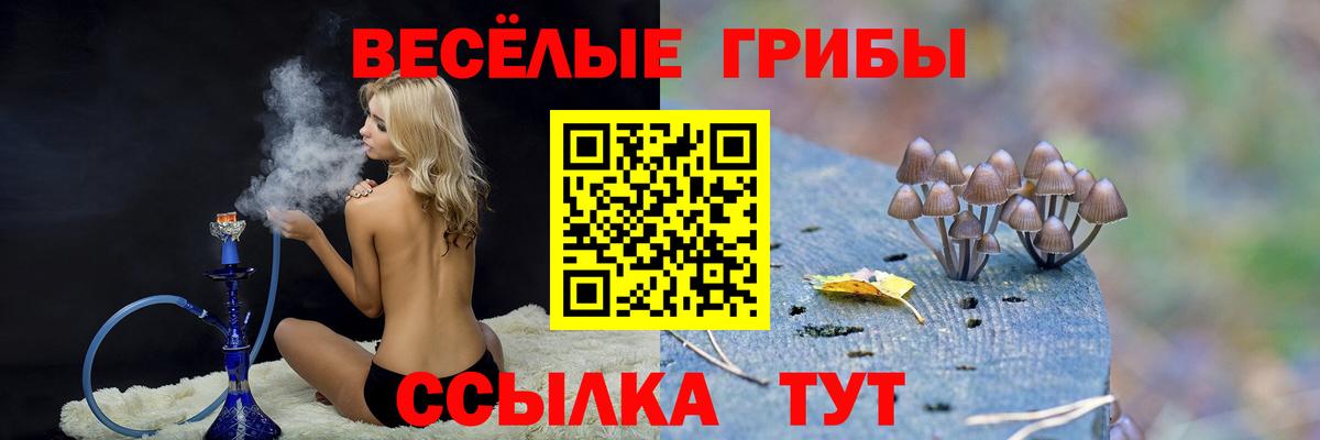 Галлюциногенные грибы ЛСД Воронеж