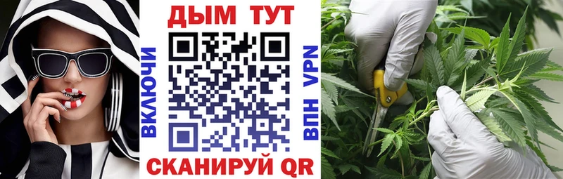 Шишки марихуана гибрид  Воронеж 